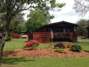 Bluebell Lodge 3 with Hot Tub Newton Stewart